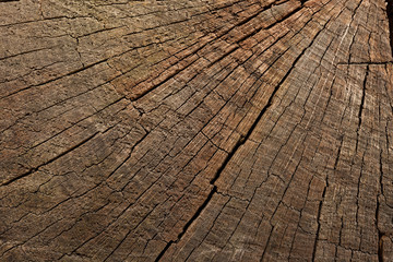 Oak wooden dark texture background