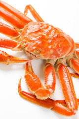 白背景のズワイガニ