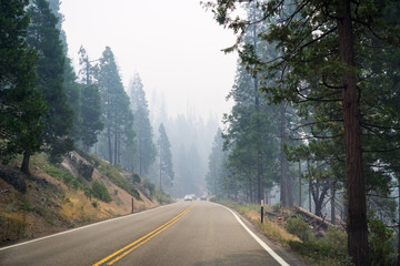 Driving through a forest in Yosemite National Park; heavy smoke from Ferguson Fire covering the...