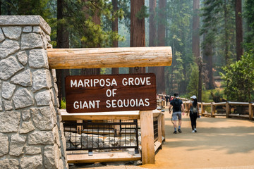 Entrance to the newly reopened Mariposa Grove of Giant Sequoias, Yosemite National Park, California