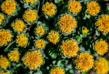 Greenland Adventure Travel