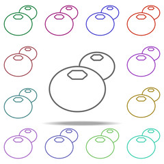 a tomato line icon. Elements of Fruit in multi color style icons. Simple icon for websites, web design, mobile app, info graphics