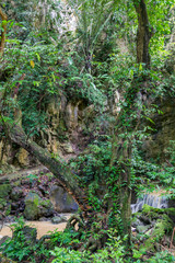 stormy creek in the jungle Phuket, Thailand