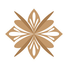 Isolated arabesque pattern image. Vector illustration design