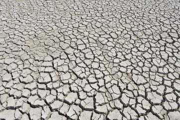 The parched soil