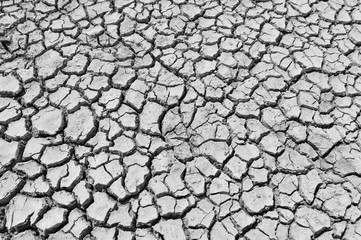 The parched soil