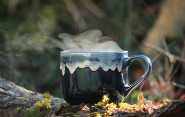 Hot steaming cup of morning coffee on steaming log with natural background