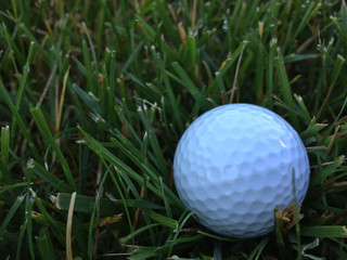 Generic white golf ball sitting in the tall grass rough on a course outside on a beautiful day