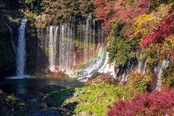 Fototapeta premium 秋の白糸の滝