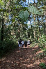 man and woman walking in forest