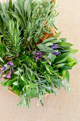 Fresh herbs in cane basket on beige burlap background - rosemary, lavender, sage, catnip, and peppermint