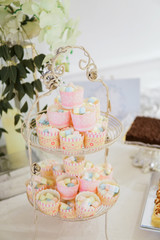 Pinky Colorful Marshmallow Birthday Party Sweet Candy Buffet