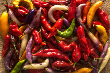 Peruvian hot pepper called Limo Pepper.