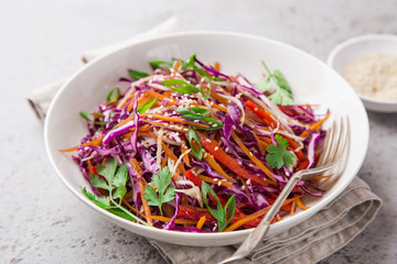 red cabbage, carrot and bell pepper cole slow salad