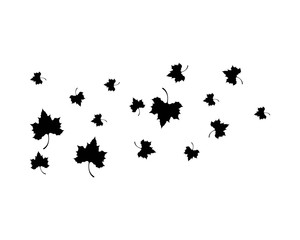 Fototapeta na wymiar Maple leaf vector icon illustration