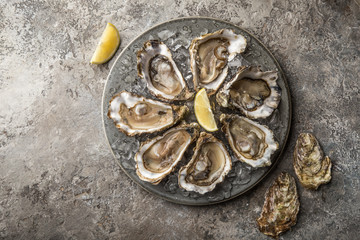 opened fresh raw oysters on gray plate served with lemon and white wine