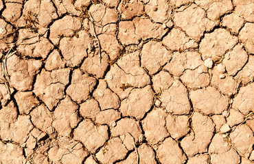 Closeup of dry soil texture ground for background