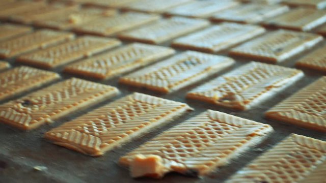 cookie process conveyor factory making fresh industrial