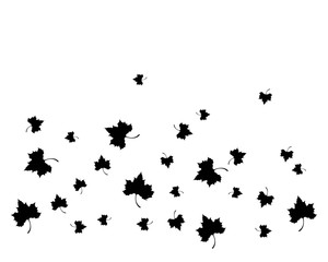 Maple leaf vector icon illustration