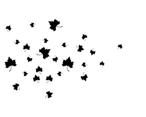 Obraz na płótnie Canvas Maple leaf vector icon illustration