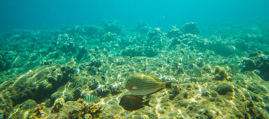 South East Asia Adventure Travel