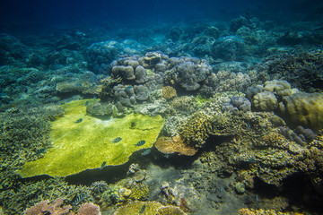 South East Asia Adventure Travel