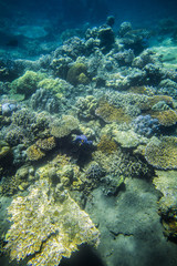 South East Asia Adventure Travel