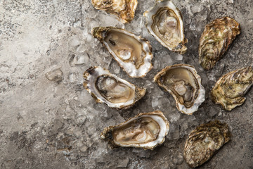 fresh raw oysters with ice on concrete background
