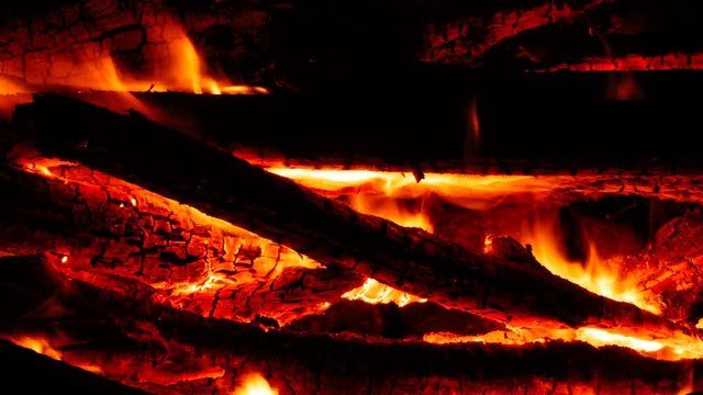 Timelapse of campfire in 4K. Burning wood at night. 