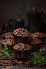 delicious chocolate muffins on  dark background