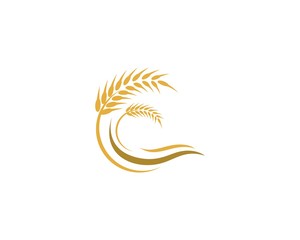 Wheat logo icon illustration