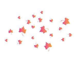 Maple leaf vector icon illustration