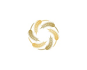 Wheat logo icon illustration