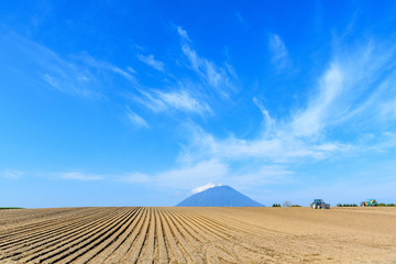 Fototapeta na wymiar A beautiful landscape of Niseko. Niseko town Hokkaido Japan.