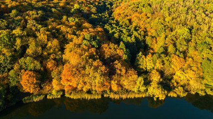 Fototapeta premium Golden autumn background, aerial drone view of forest with yellow trees and beautiful lake landscape from above, Kiev, Goloseevo forest, Ukraine 