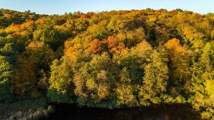 Golden autumn background, aerial drone view of forest with yellow trees and beautiful lake landscape from above, Kiev, Goloseevo forest, Ukraine
