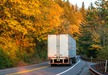 Big rig semi truck transporting semi trailer with cargo on winding road with yellow autumn trees in...