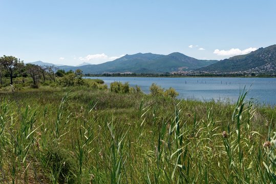 Korsika - Naturreservat Etang de Biguglia