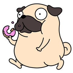 pug with donut
