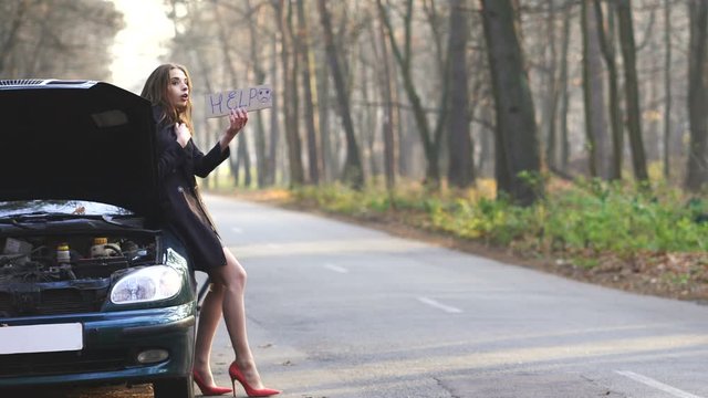4K. Attractive young  sexy woman  emotionally  ask help with  poster. Car trouble 