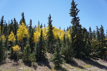 autumn in the mountains