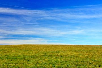 Autumn grass and blue sky with white clouds