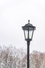 Lamp post in a winter park, Vintage black street light against trees and sky