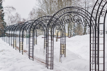 forged metal arches tunnel in winter park.