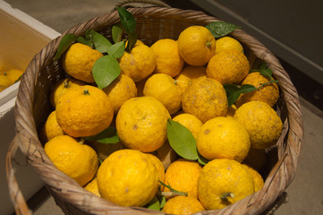 籠に入ったゆず