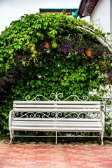 White bench stands in the Park among the flowers 