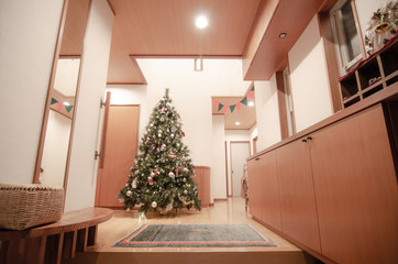Fototapeta na wymiar 広い玄関に大きなクリスマスツリー