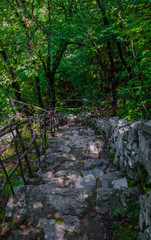 stone steps carved in the rock