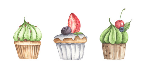 Set of different cupcakes isolated on white background. Watercolor illustration