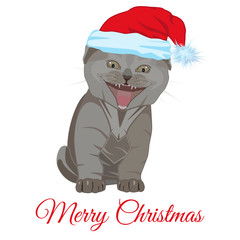 Fototapeta na wymiar Cool funny little kitten in Santa hat vector flat illustration